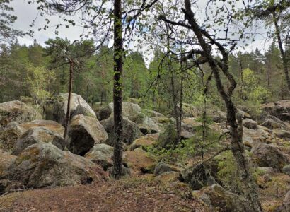 Ritajärven luonnonsuojelualue